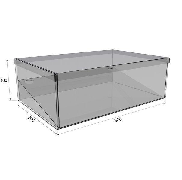 Коробка акриловая EKOSTAR 300x200x100 с крышкой | Хранение украшений и косметики 11333 фото